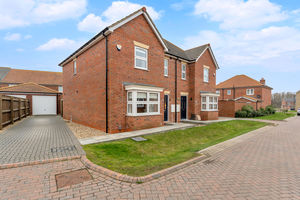 Photo 38- click for photo gallery